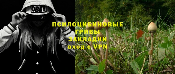 кокс Арсеньев