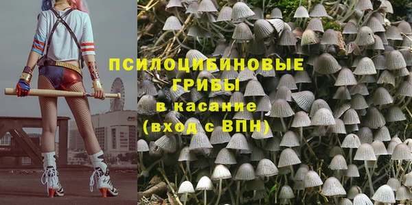 кокс Арсеньев