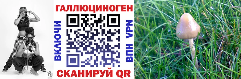 Галлюциногенные грибы мицелий  Купить закладки  Островной 